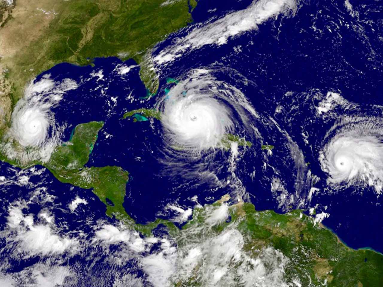 Hurricane Prepper’s Guide