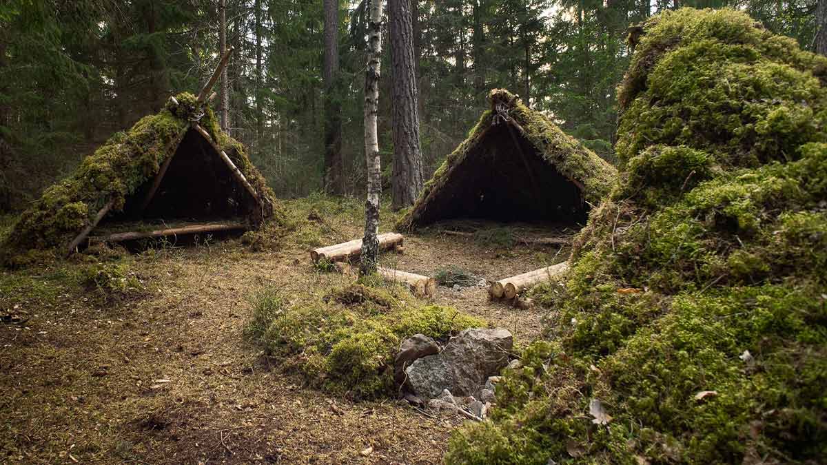 Top SHTF Shelter Tips Every Prepper Should Know